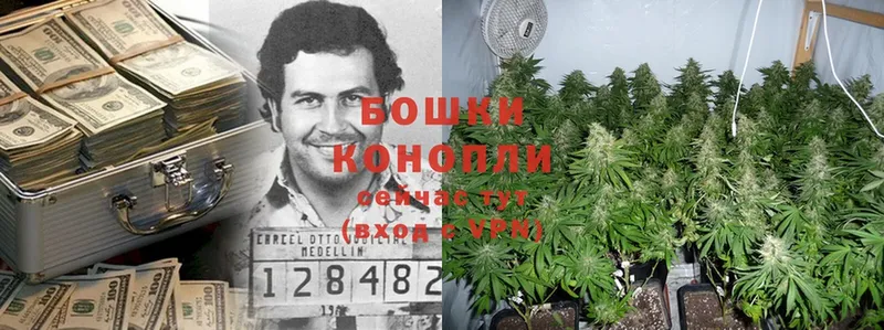 Каннабис Bruce Banner  сколько стоит  Ясногорск 